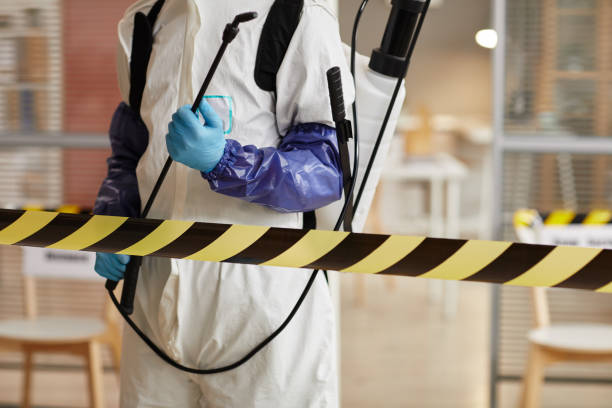 Professional Infectious Disease Decontamination technician working in Pebble Beach, CA